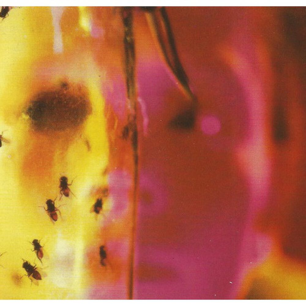 Alice In Chains - Jar Of Flies | Cd image number 4.0