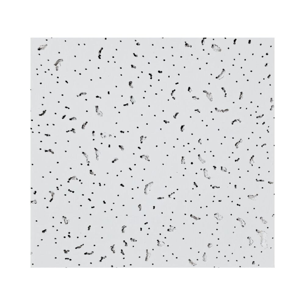 Cielo Americano Concorde 603x603x12mm image number 0.0