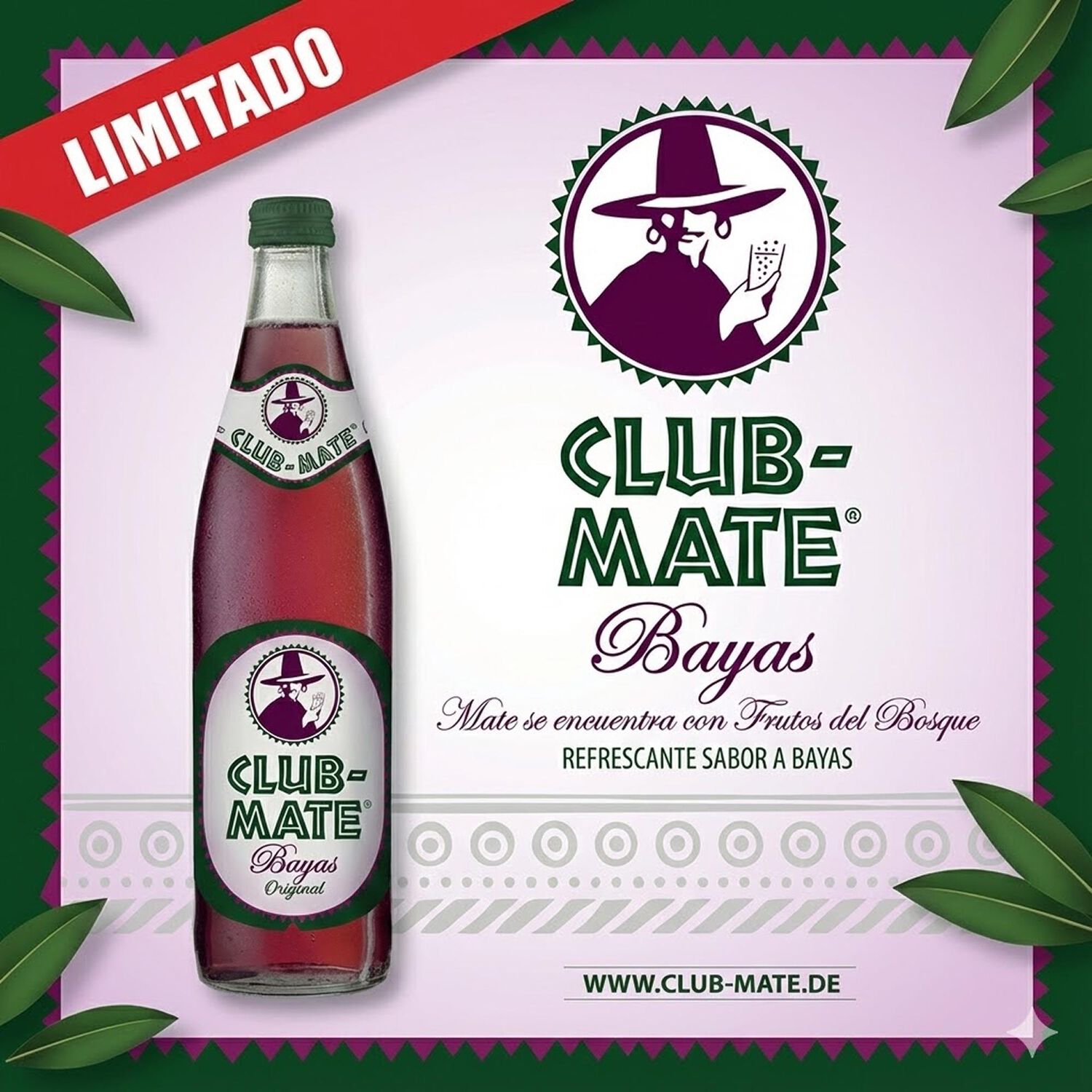 Bebida Mate Beere Club Mate 1 X 500 Ml image number 3.0