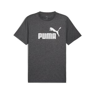 Polera Deportiva Hombre Puma