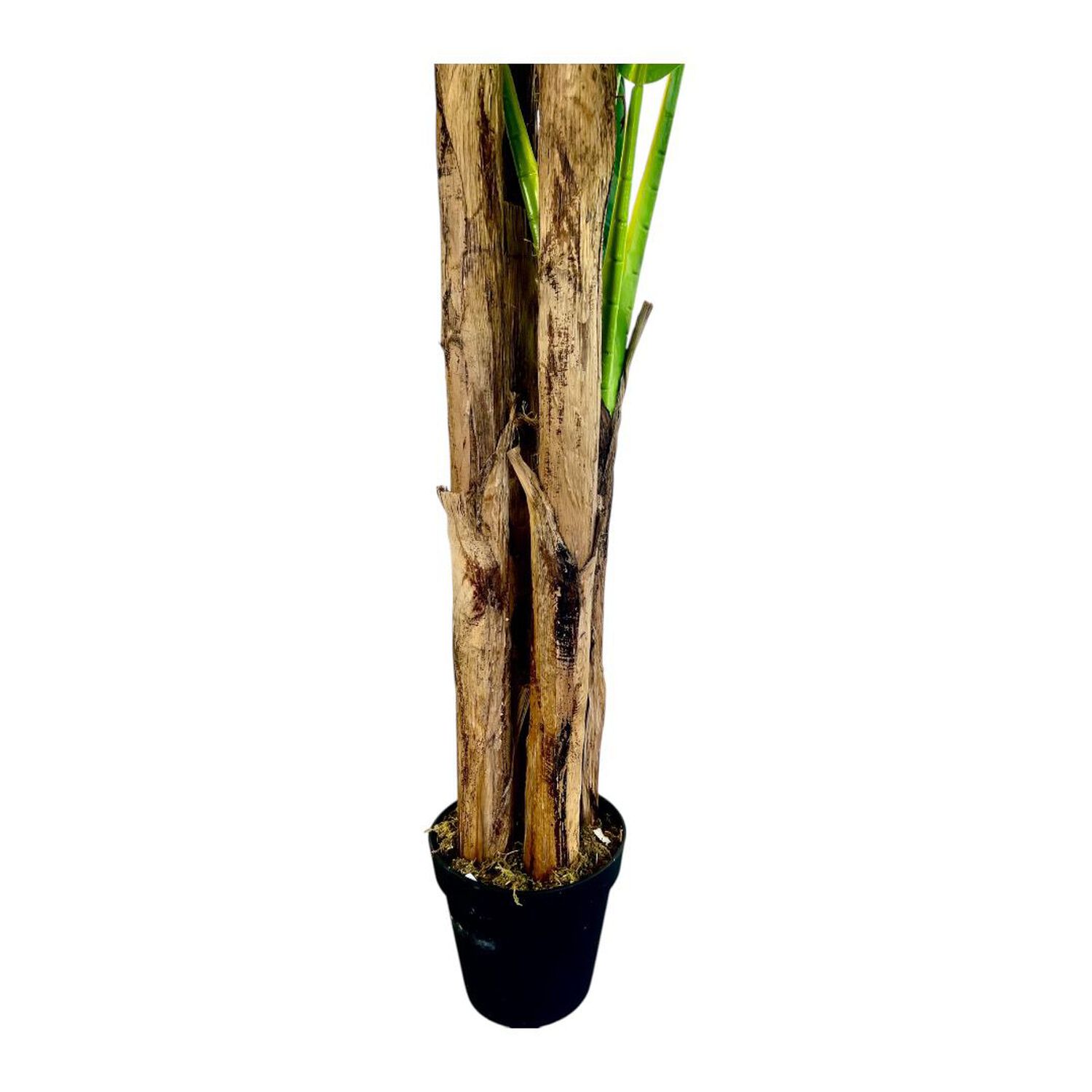 Planta Artificial Banano Premium 230 Cm. / 26 Hojas / Arbusto Real image number 4.0