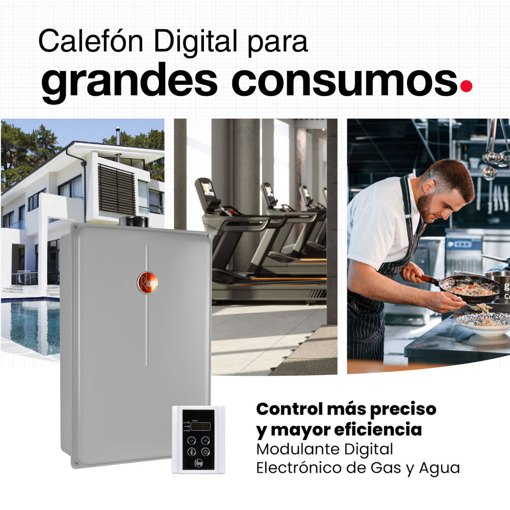 Calefont 28 Litros Gas Licuado Tiro Forzado Rheem image number 8.0