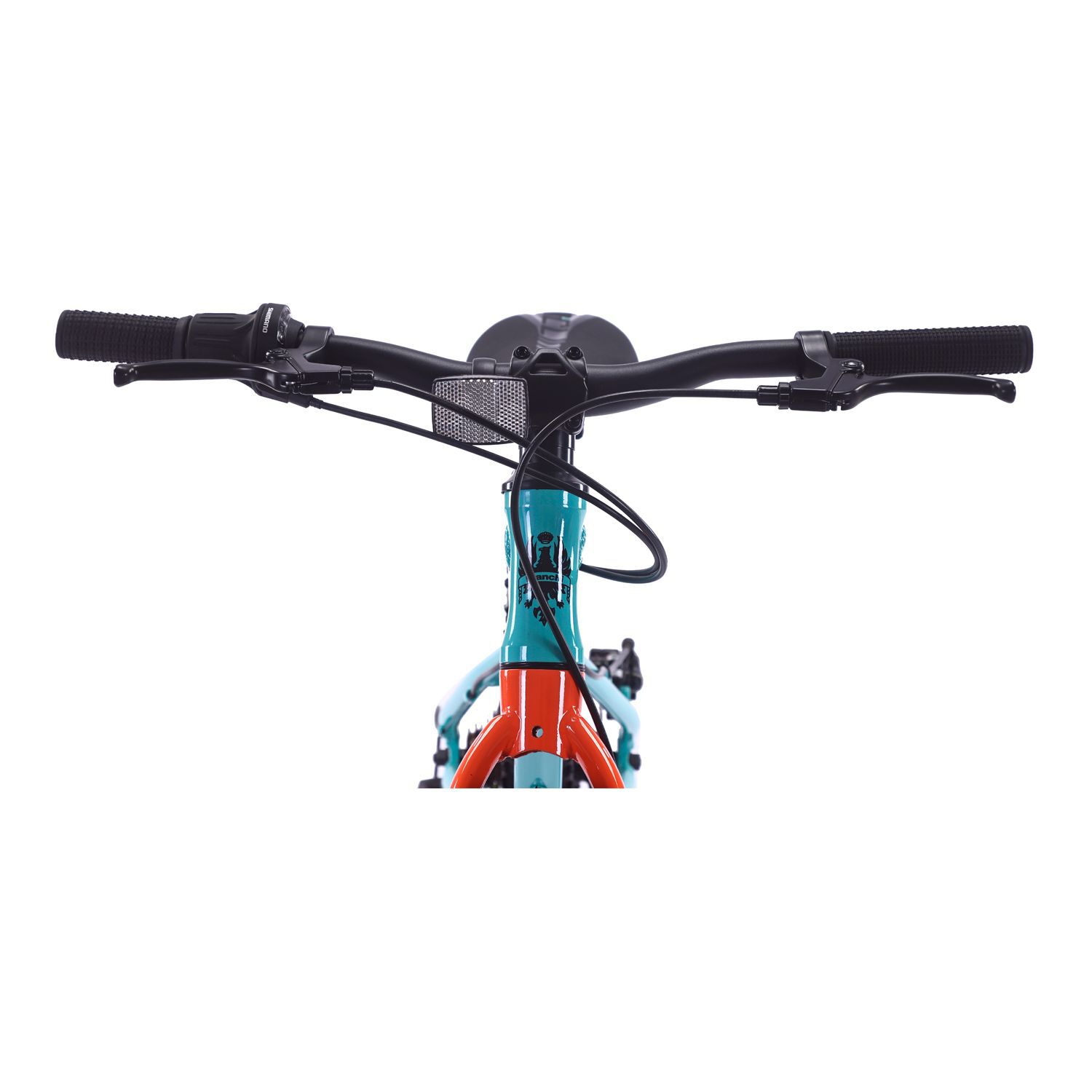 Bicicleta Infantil Bianchi Alloy 20 St / Aro 20 image number 2.0