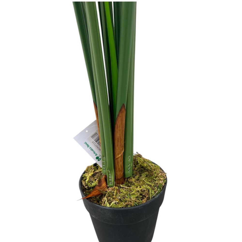 Monstera Premium 120 Cm. / 10 Hojas Arbusto Real image number 6.0