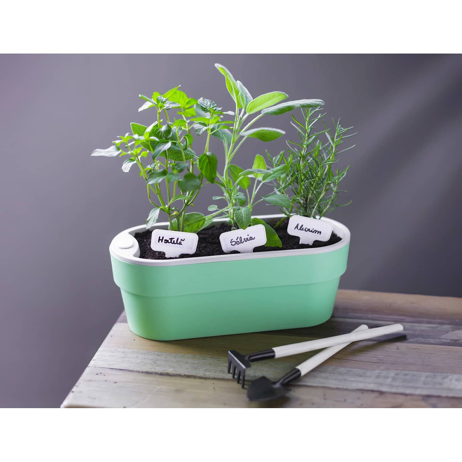 Macetero Huerta Auto Riego Verde Menta 29 X 11 Cm image number 3.0