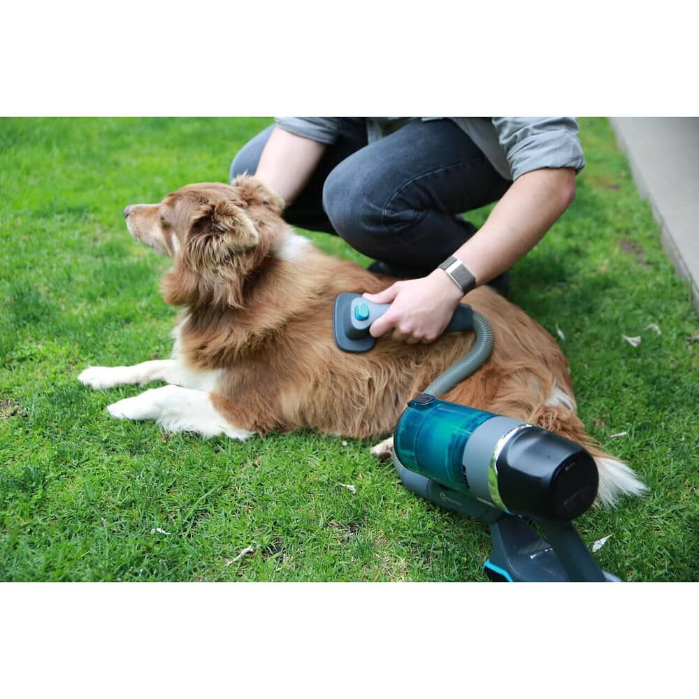 Cepillo Para Mascotas Pet Brush Aspiradora Inal&aacute;mbrica X5-full Primaterm image number 2.0