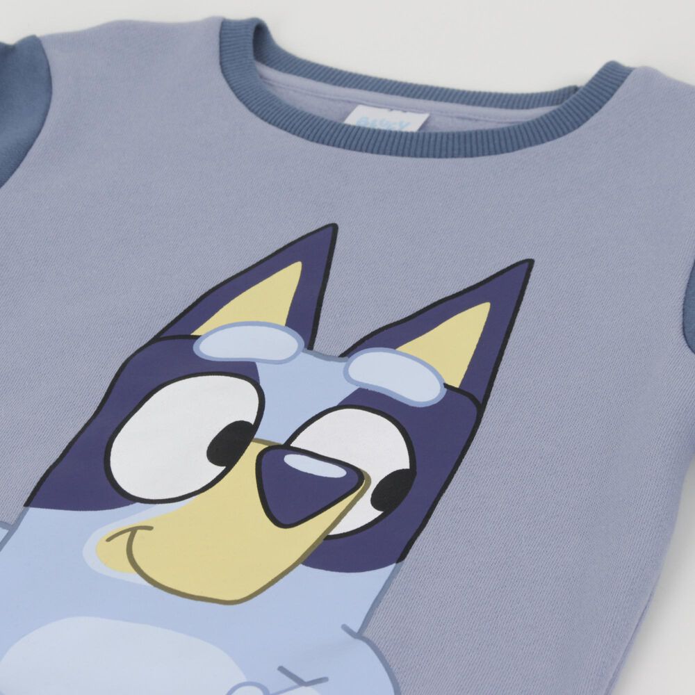 Poler&oacute;n Cerrado Ni&ntilde;o Personaje Azul Bluey image number 2.0