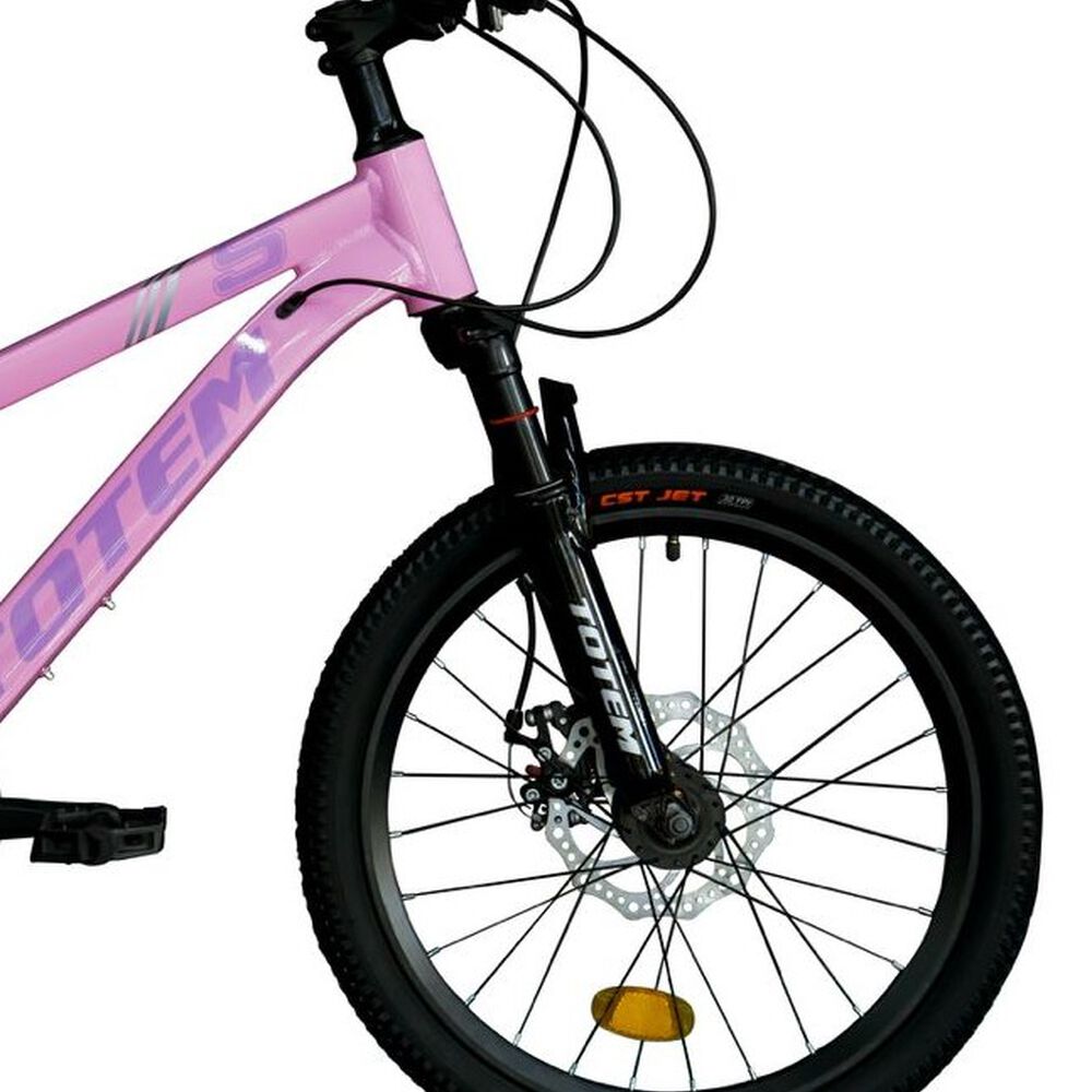 Bicicleta Totem Mtb Aro 20 Modelo Sailing Rosado image number 2.0