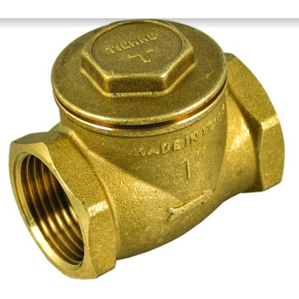 Valvula De Retenci&oacute;n Chapaleta 2' Tiemme image number 0.0