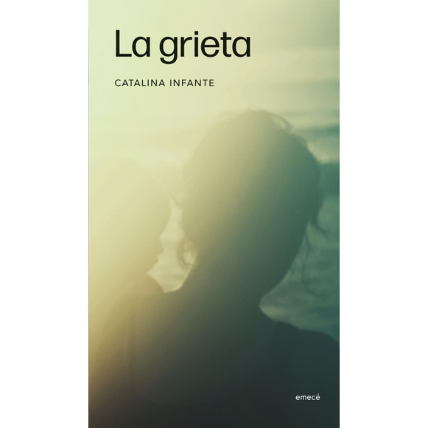 La Grieta image number 0.0