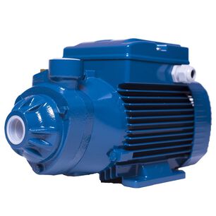 Bomba Periferica Marca Pedrollo Pkm 100