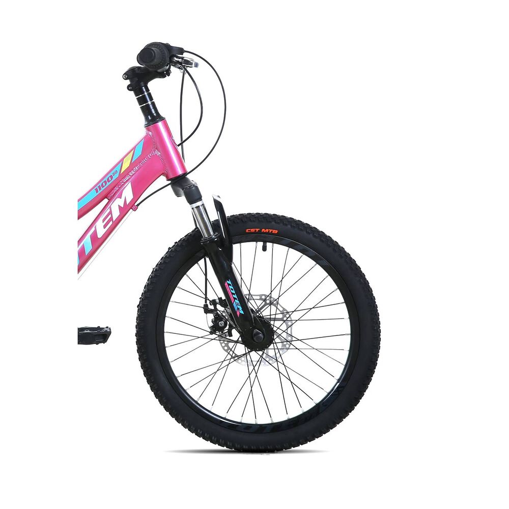 Bicicleta Totem Mtb Aro 20 Modelo 1100 Rosado image number 4.0