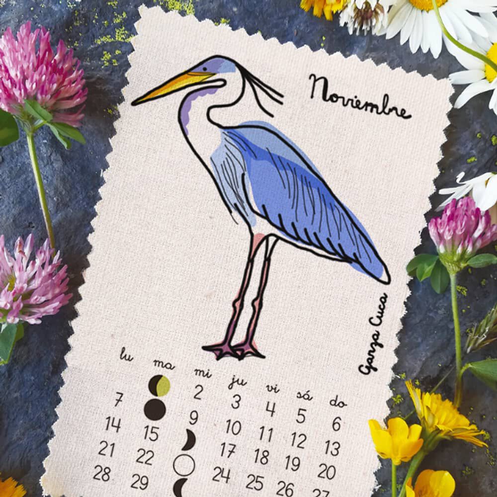 Calendario 2022 Aves Pajarito De Mimbre image number 11.0