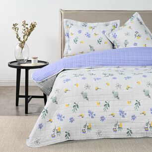 Quilt Cannon - American Family Nadine / 2 Plazas