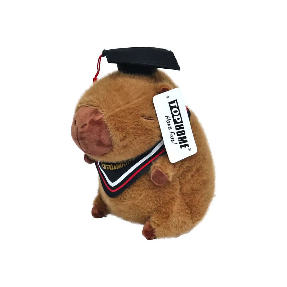 Peluche Capibara Graduación 23cm image number 0.0