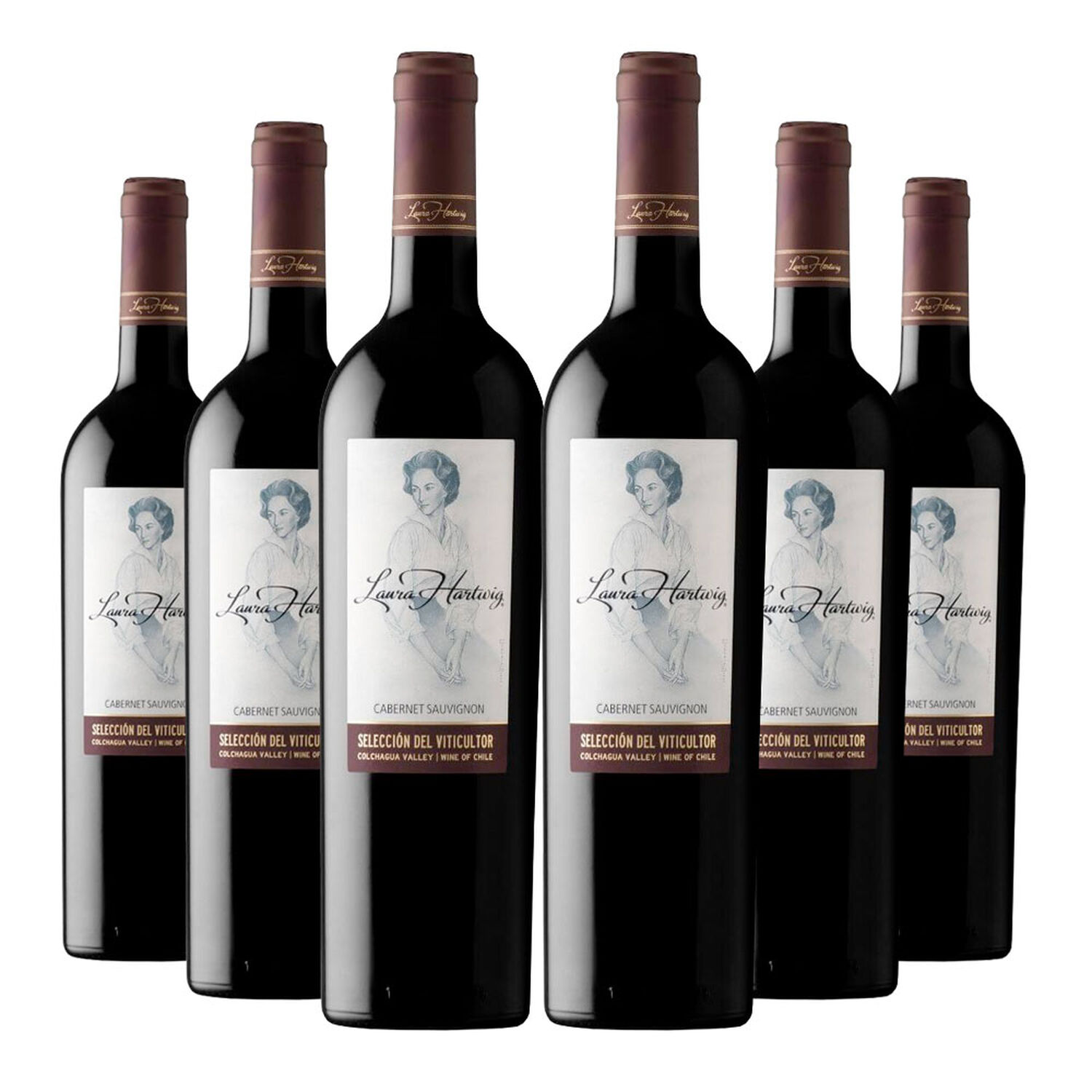 6 Vinos Laura Hartwig Seleccion Del Viticultor Carbernet Sauvignon image number 0.0