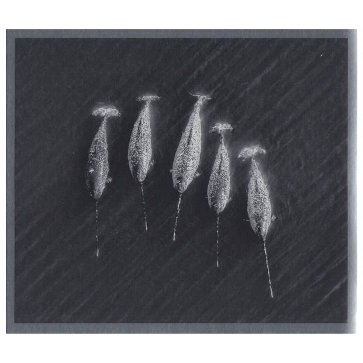 Pearl Jam - Gigaton (digipack) | Cd image number 8.0