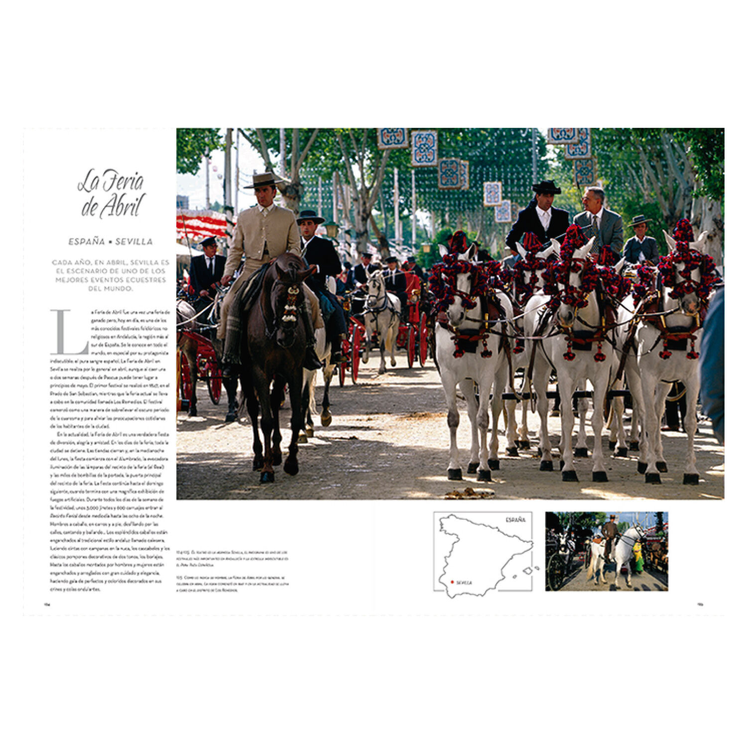 Caballos Razas Y Procedencias image number 3.0