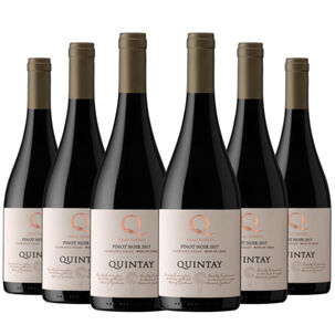 6 Vinos Quintay Q Pinot Noir