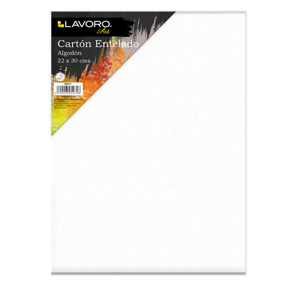 Carton Entelado 22x30 Cm Lavoro image number 0.0