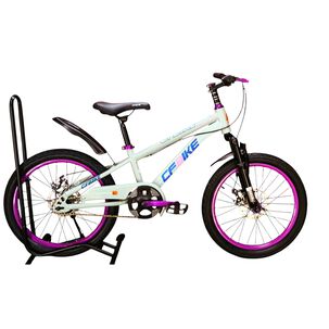 Bicicleta Aro 20 Cfbike Con Freno Disco Gris Lila