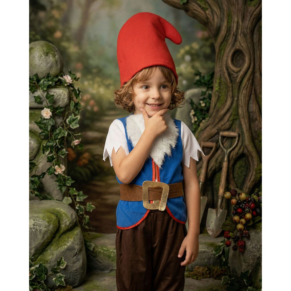 Disfraz Infantil Gnomo Jard&iacute;n image number 1.0