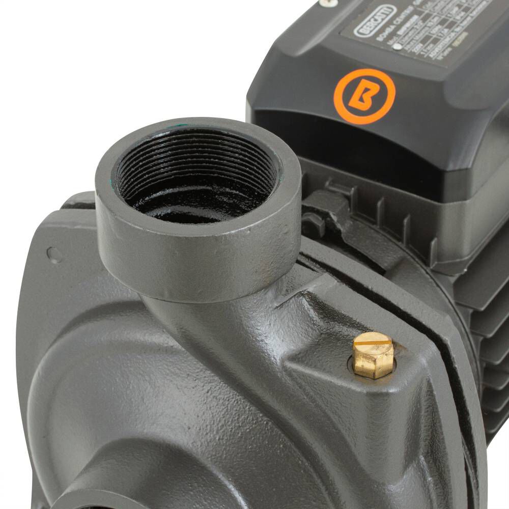 Electrobomba Superficie 1,5 Hp Centr&iacute;fuga Gran Caudal image number 4.0