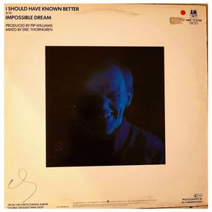 Jim Diamond - I Should Have Known Better | 12" Maxi Single Usado