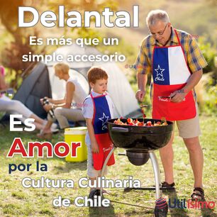 Delantal Cocina Fiestas Patrias Bandera Chilena 60x90 Cm Viva Chile
