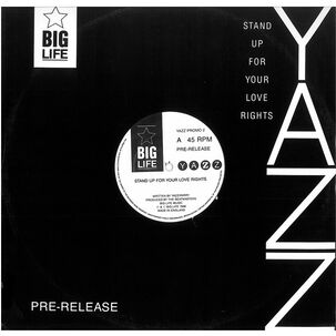 Yazz - Stand Up For Your Love Rights | 12" Maxi Single Usado