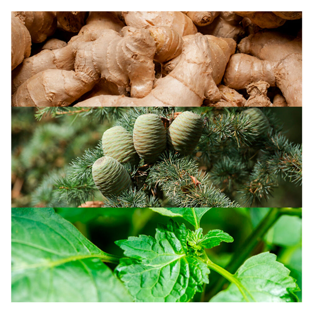 Euphoria Men 100 Ml Edt Calvin Klein image number 5.0