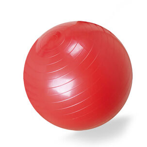 Balon De Ejercicio Con Bombin 75 Cm-blunding