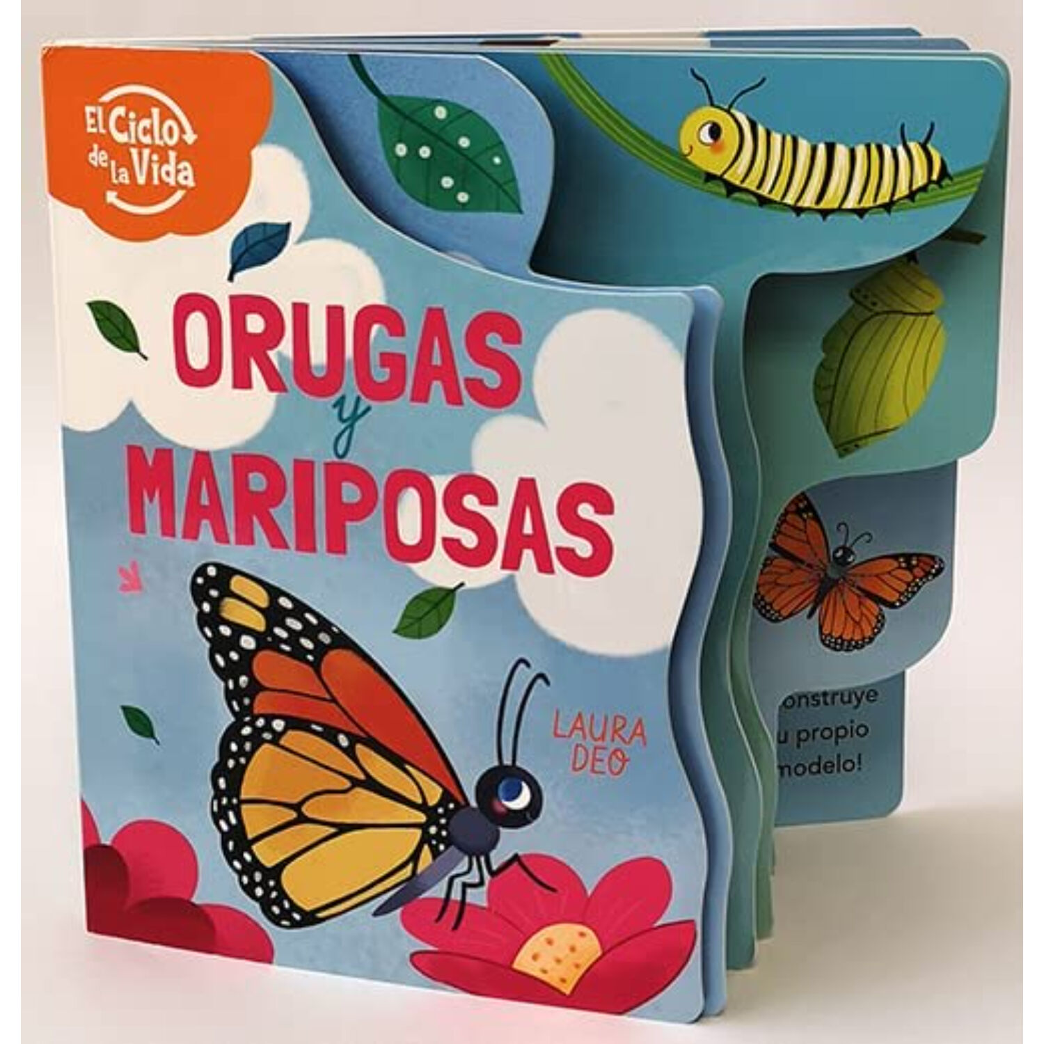 Orugas Y Mariposas, El Ciclo De La Vida image number 0.0