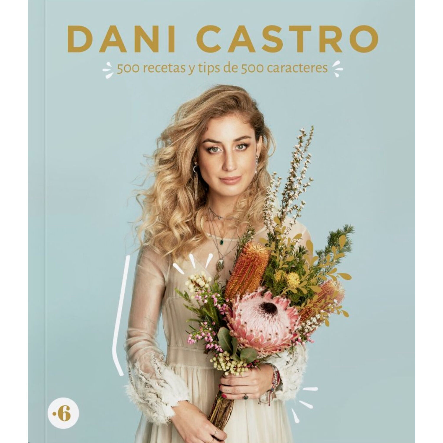 Dani Castro: 500 Recetas Y Tips En 500 Caracteres image number 0.0