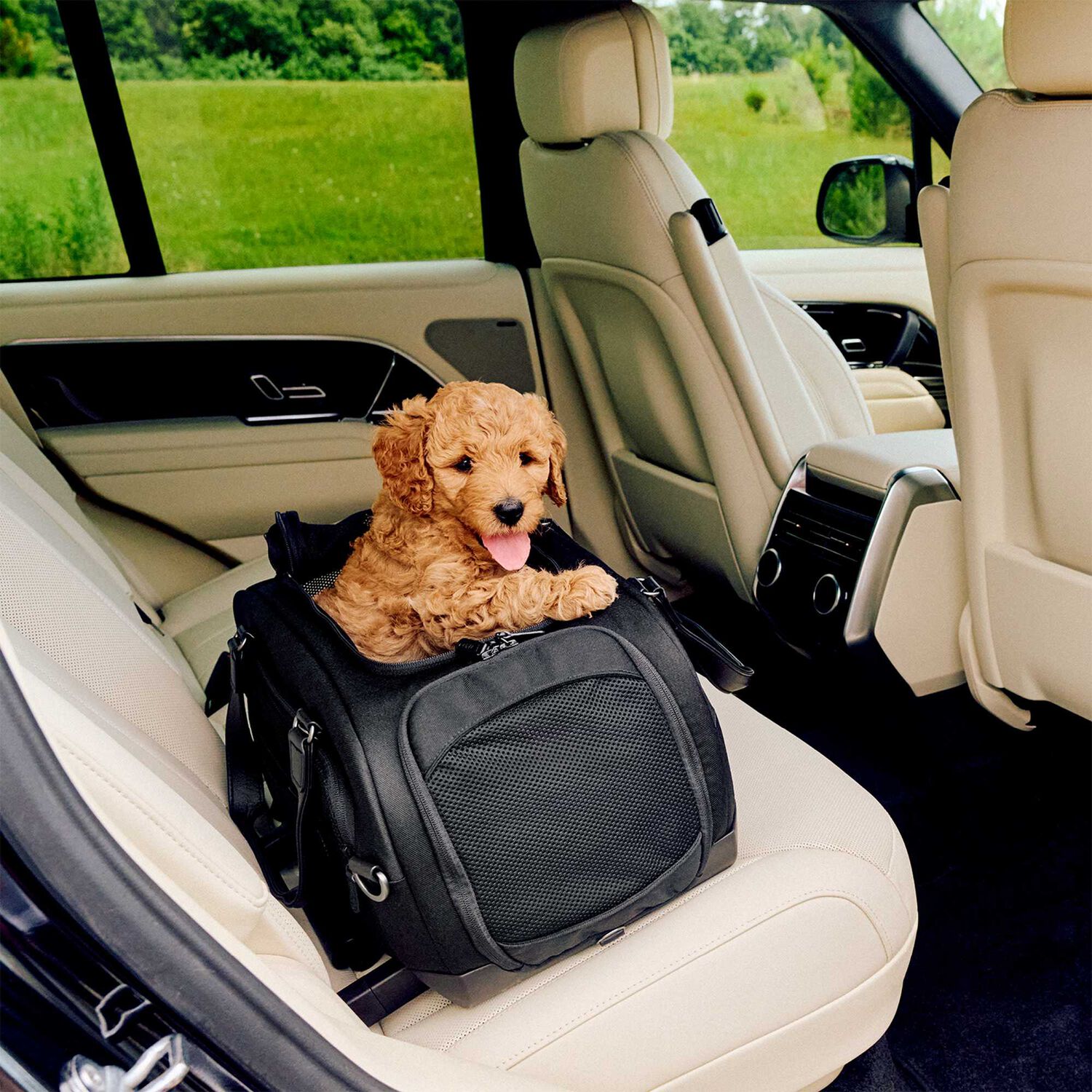 Transporte Mascota Dupree Ii Onyx image number 9.0