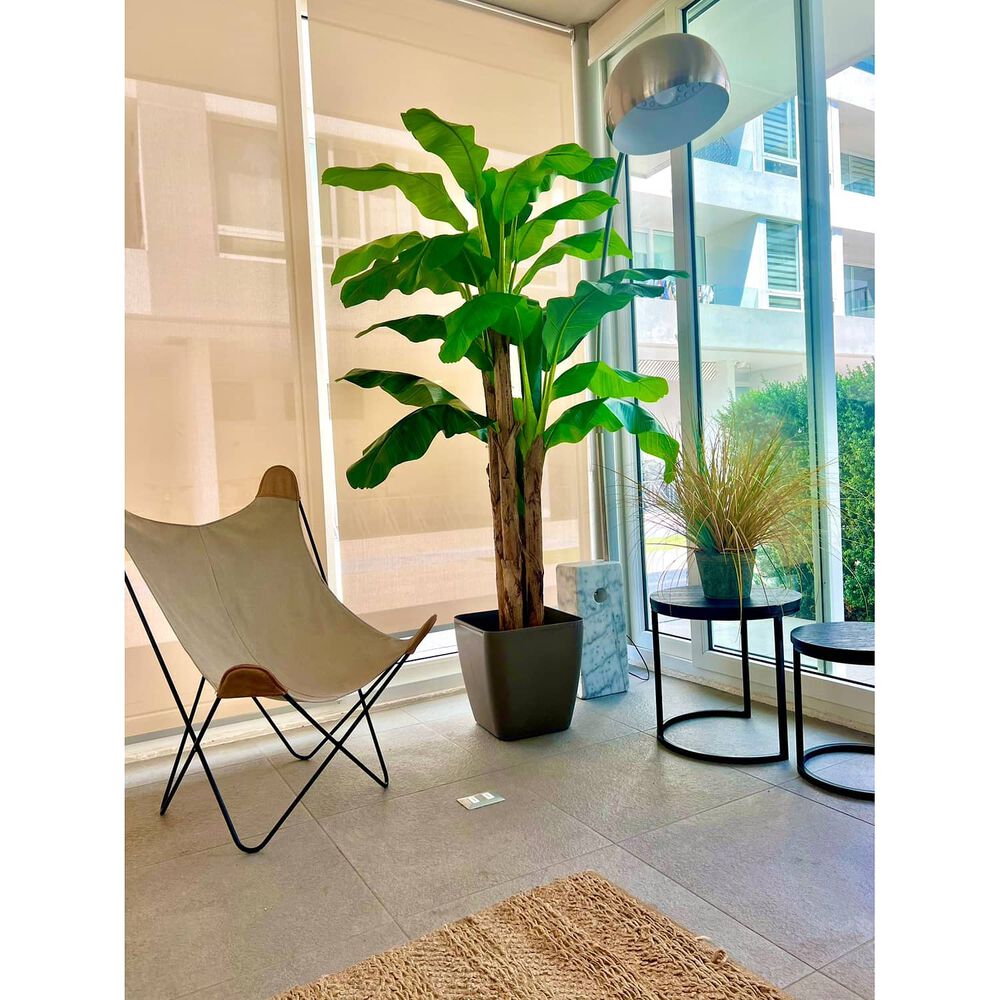 Planta Artificial Banano Premium 230 Cm. / 26 Hojas / Arbusto Real image number 1.0