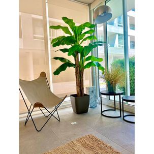 Planta Artificial Banano Premium 230 Cm. / 26 Hojas / Arbusto Real