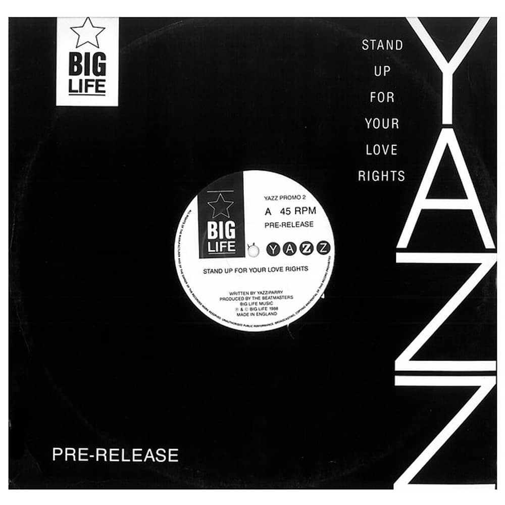Yazz - Stand Up For Your Love Rights | 12" Maxi Single Usado image number 0.0