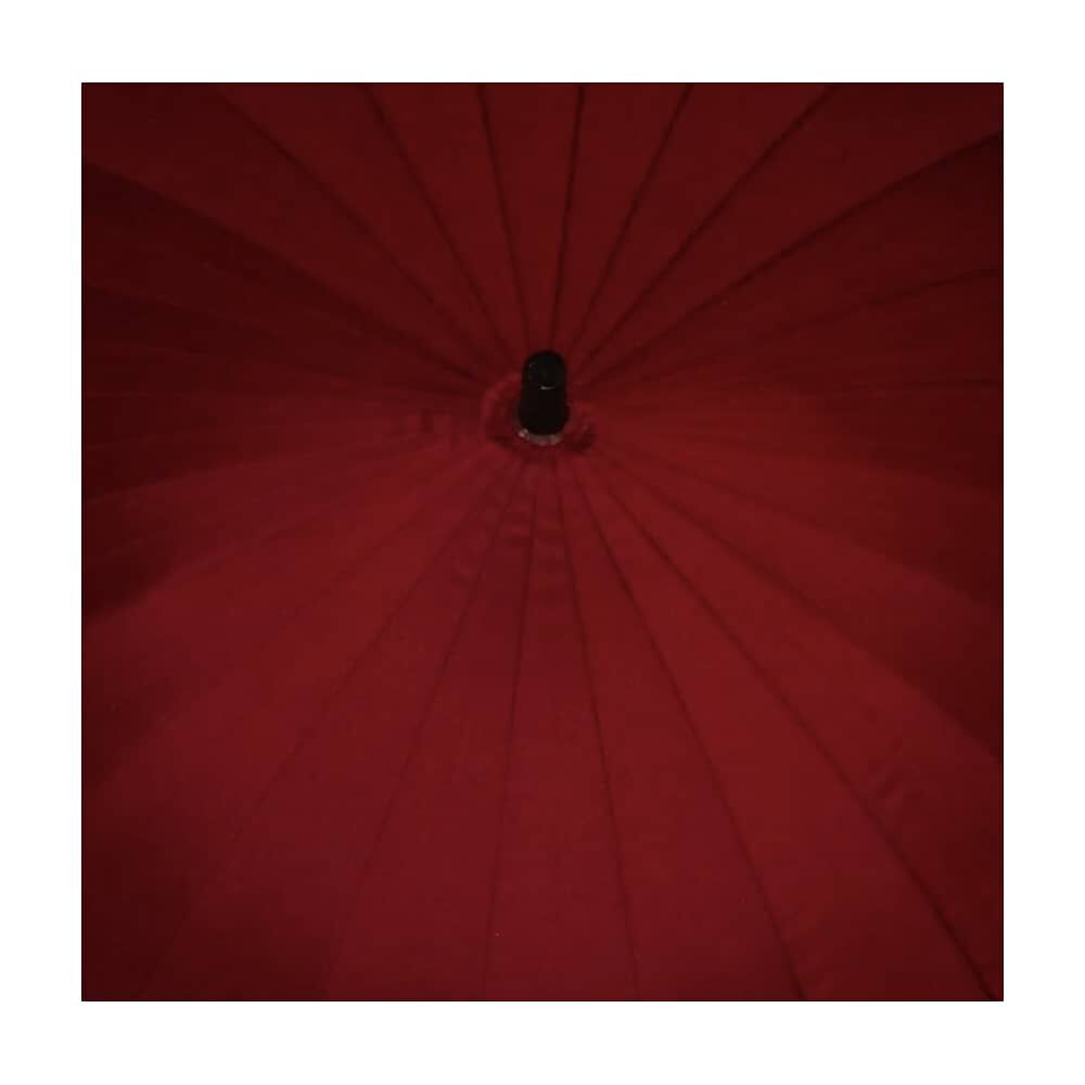 Paraguas 24 Varillas Lluvia image number 1.0