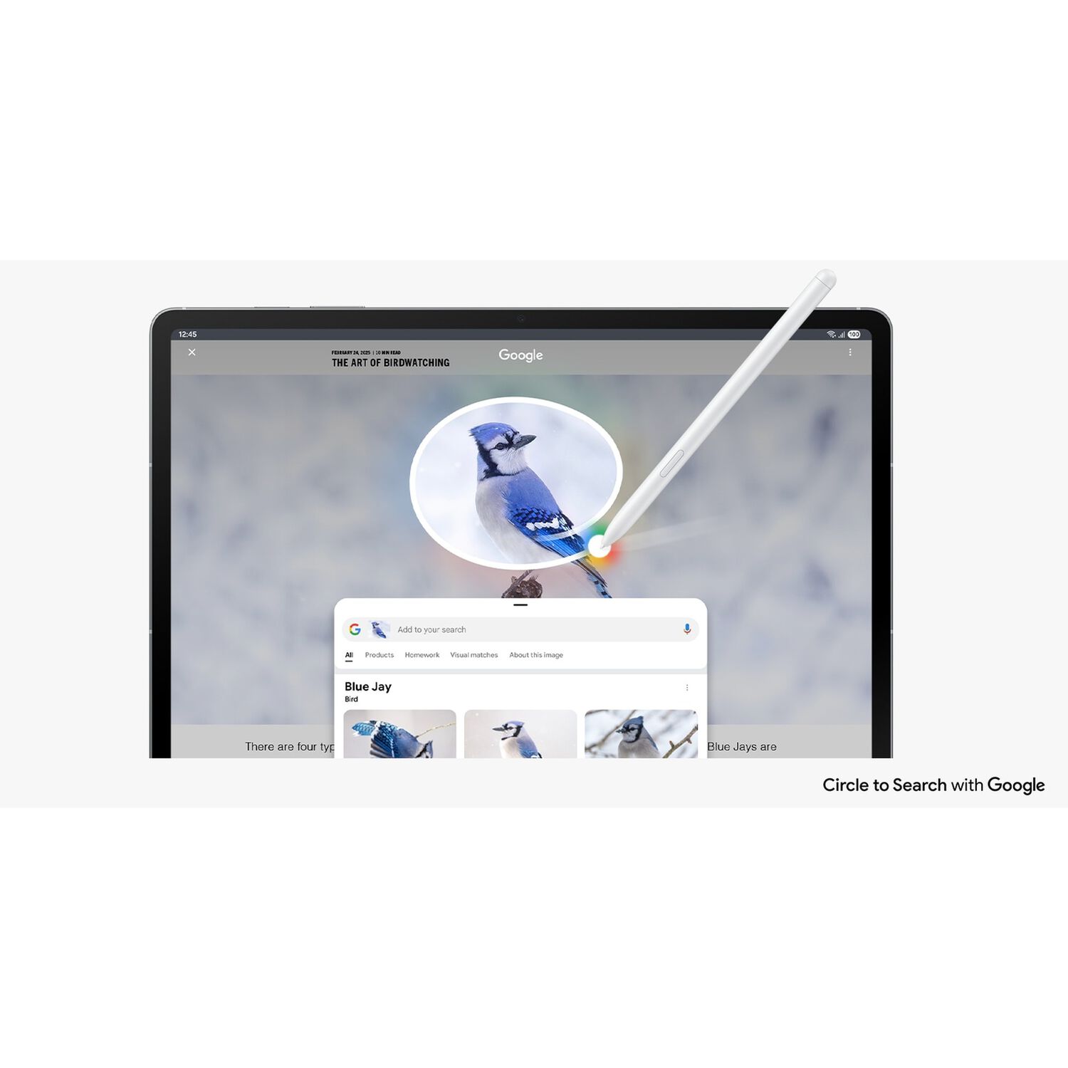 Galaxy Tab S10 Fe (10.9", 128gb, Wifi) Azul image number 7.0