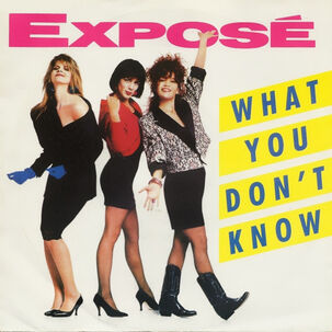 Expose - What You Don't Know | 7" Single Vinilo Usado