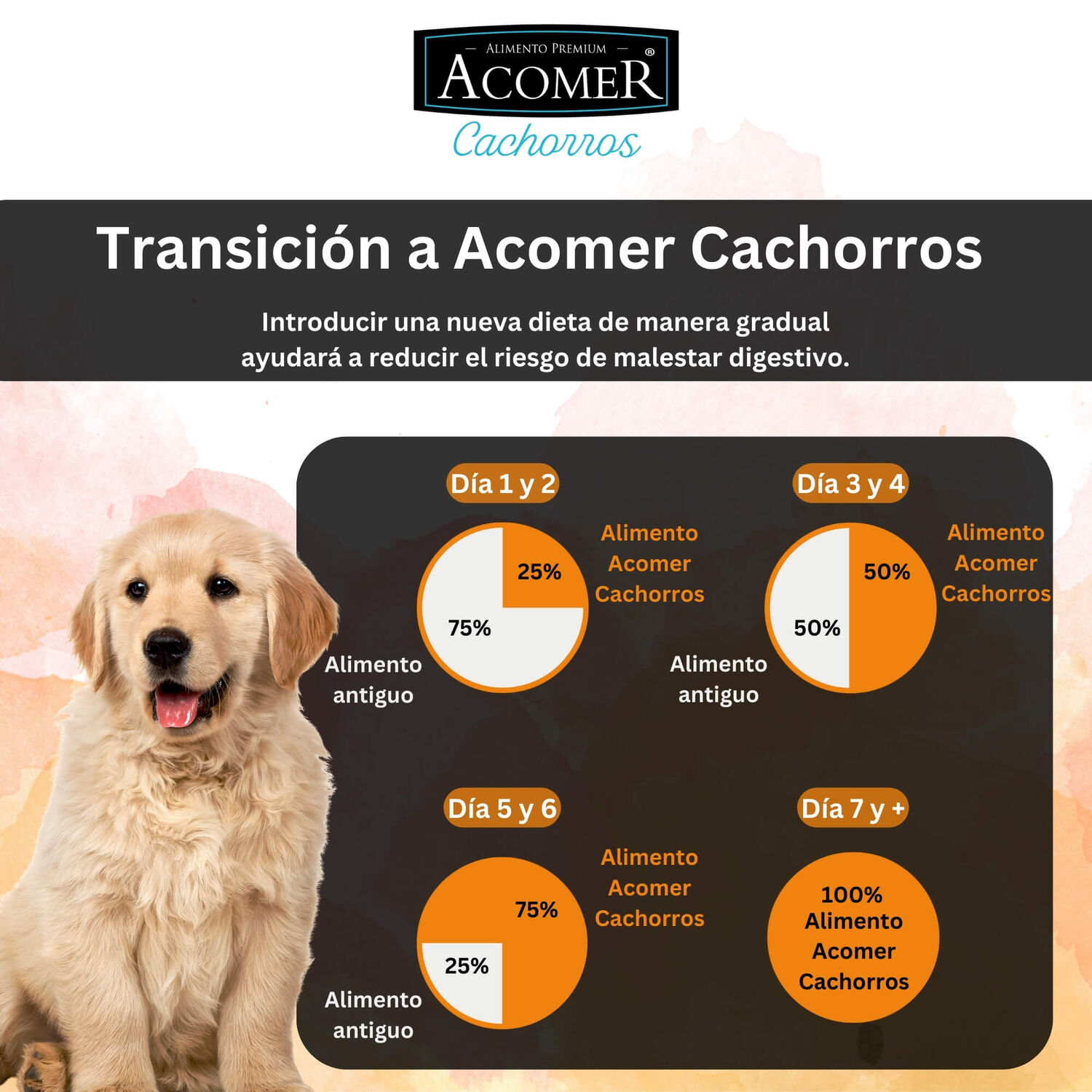 Alimento Para Perro Cachorro Acomer 10kg image number 4.0