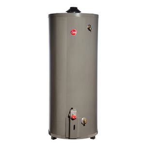 Termo A Gas Licuado Rheem 190 Litros
