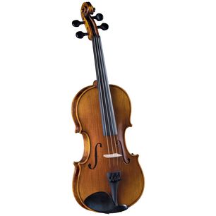 Viol&iacute;n Outfit 4/4' Sv-400 Cremona