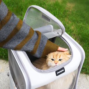 Mochila De Transporte Para Mascotas Bolso De Paseo