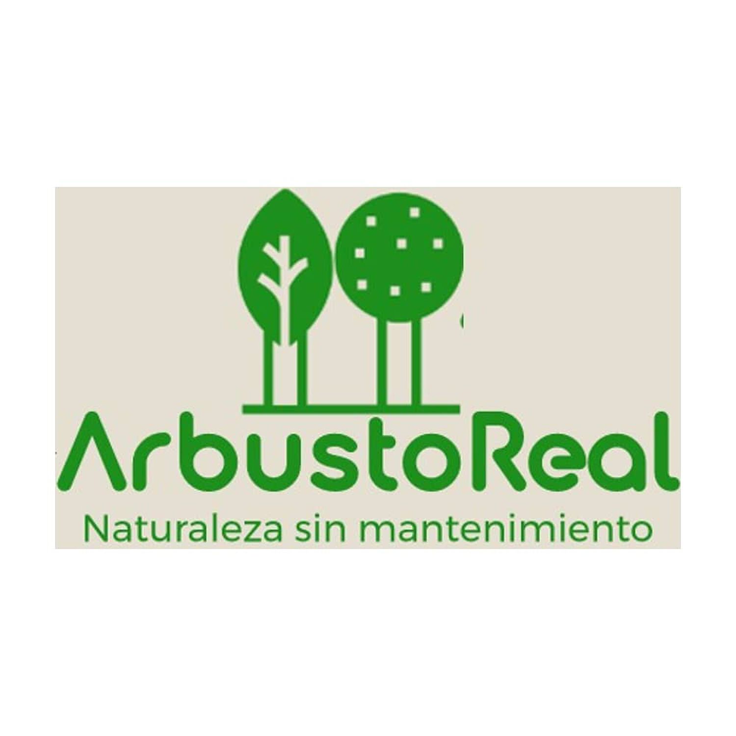 Planta Artificial Ficus Premium 180 Cm / 1288 Hojas / Arbusto Real image number 5.0