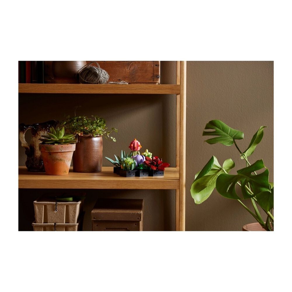 Lego Botanicals - Suculentas - 10309 image number 5.0