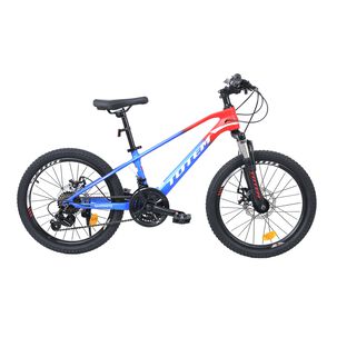 Bicicleta Totem Mtb Aro 20 Modelo Martin Magnesio Azul