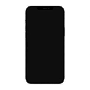 Apple Iphone 12 Pro Max 5g 128gb Gris Reacondicionado