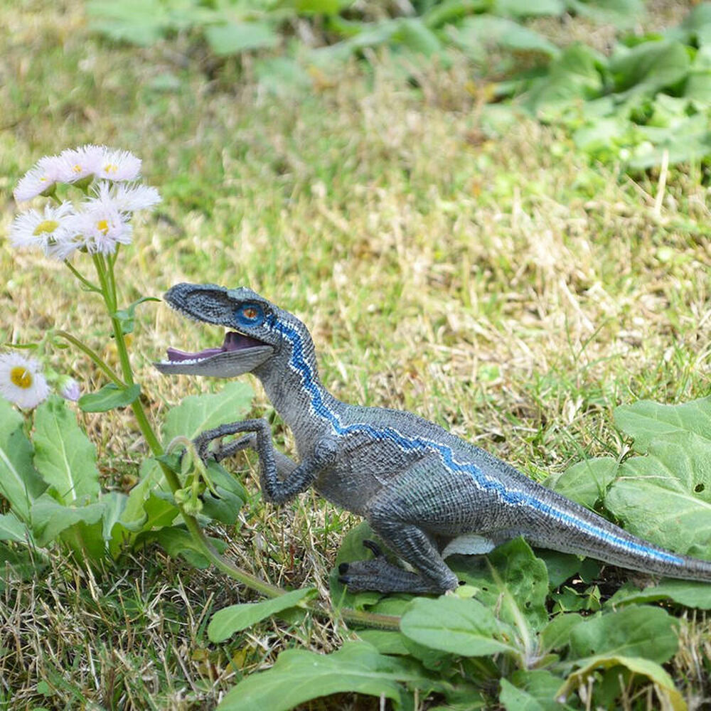 Juguete Dinosaurio Velociraptor Blue Para Niños image number 6.0
